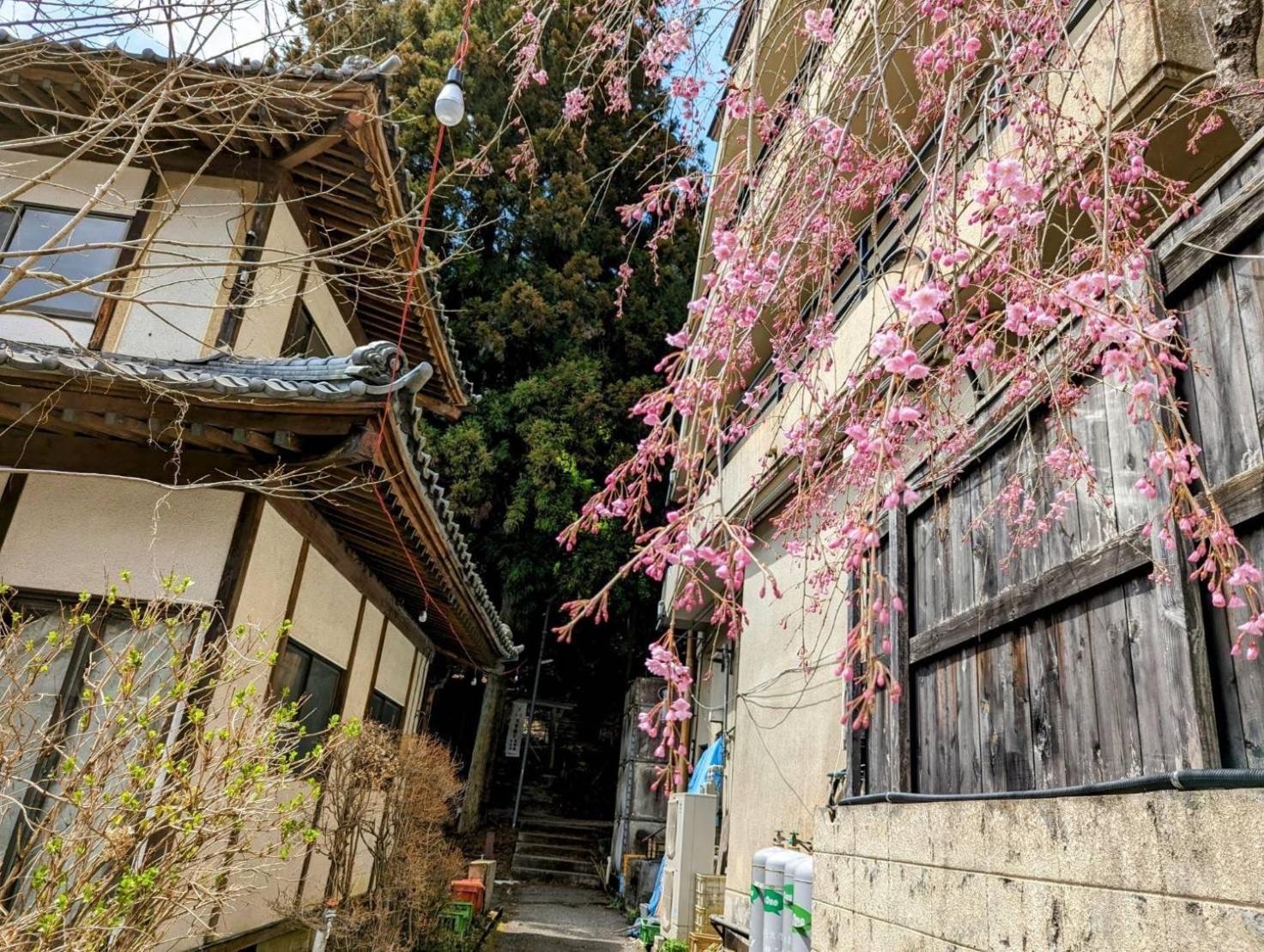 Hotel Sakahijiri Nikko Exterior foto
